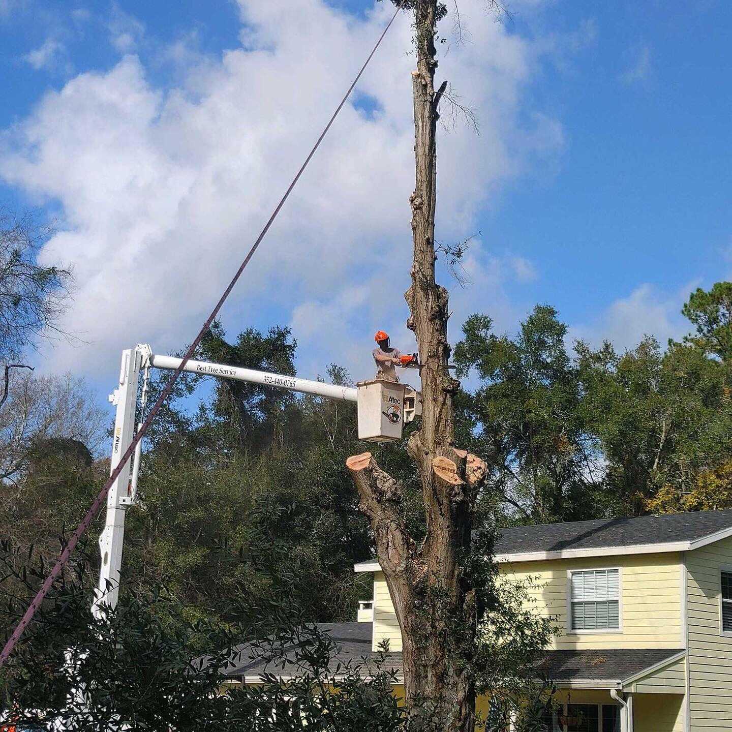 An arborist working from a bucket, cutting a tall section off of a tree with all the limbs removed.