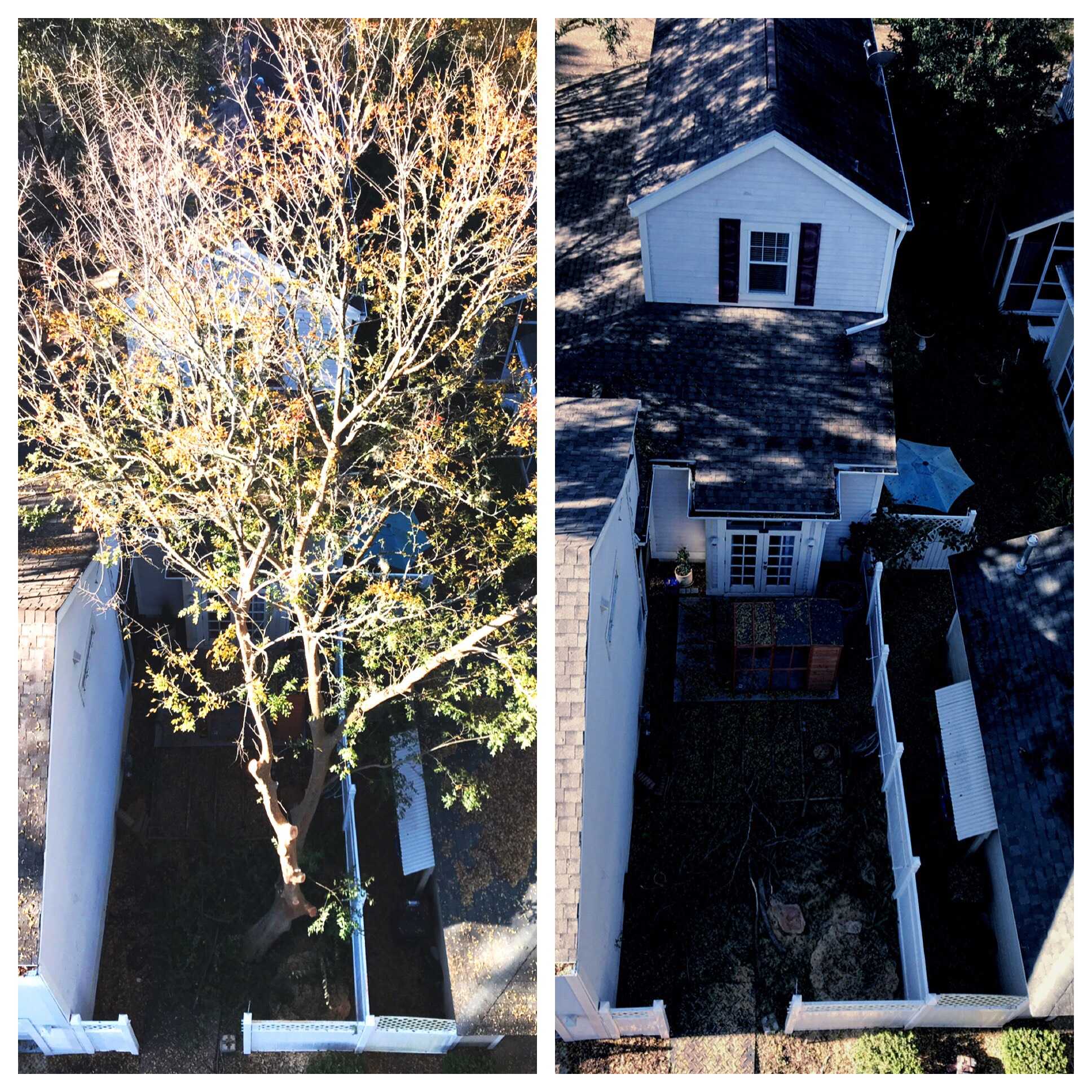 A before and after shot of a tree standing in a narrow backyard, and the backyard after it has been removed.