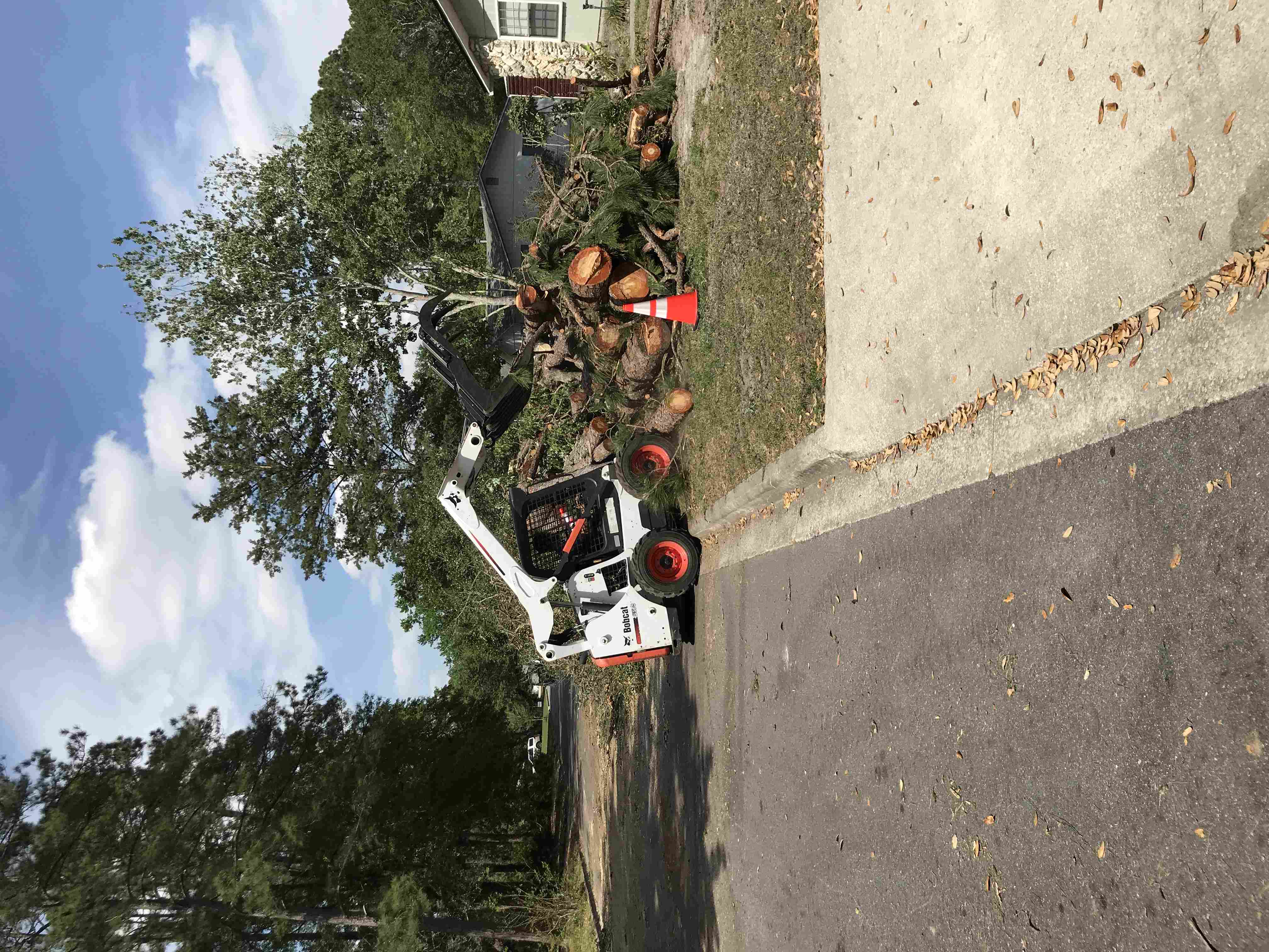 A skid steer making a large pile of freshly cut logs and brush.