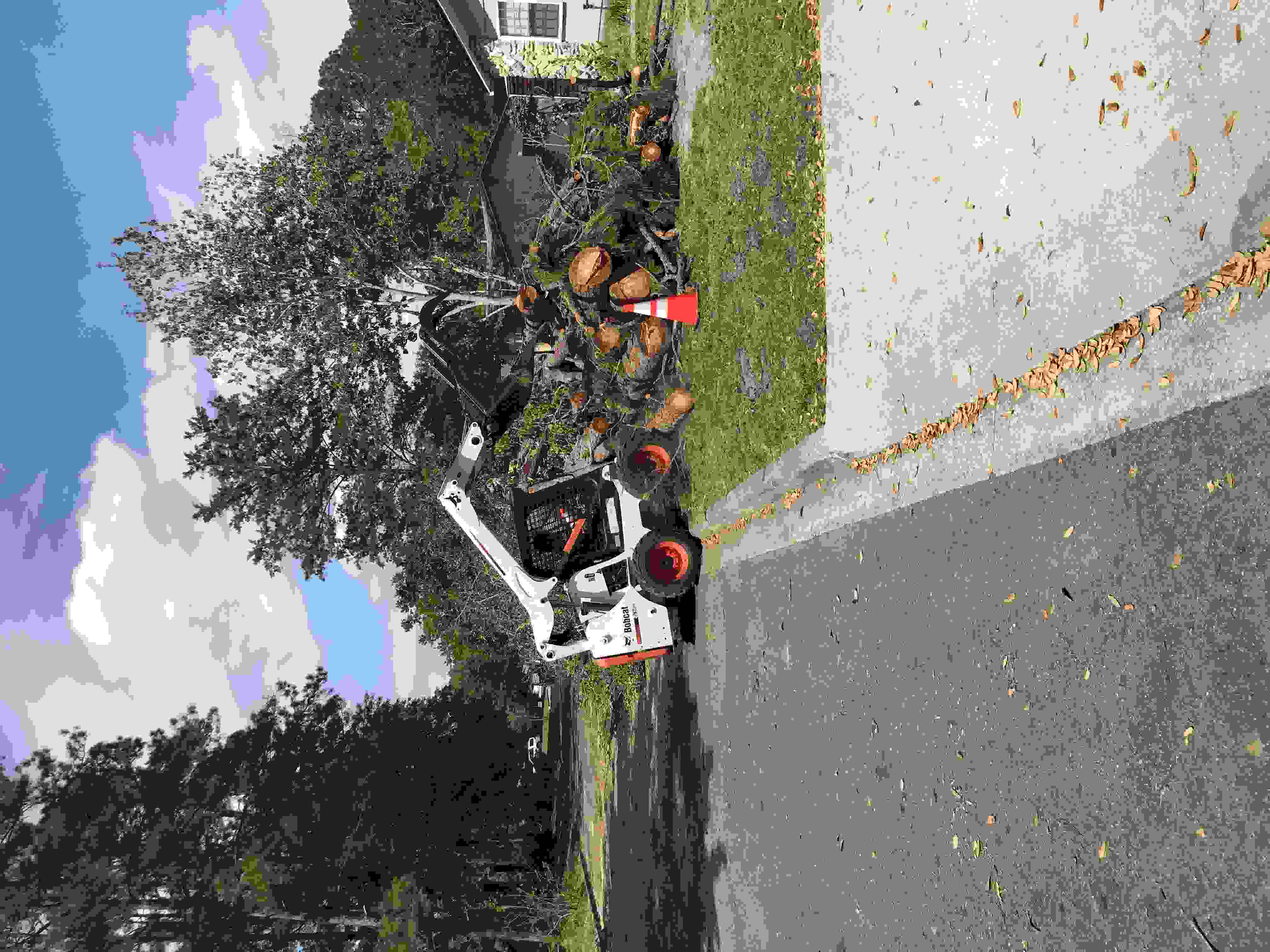 A skid steer making a large pile of freshly cut logs and brush.