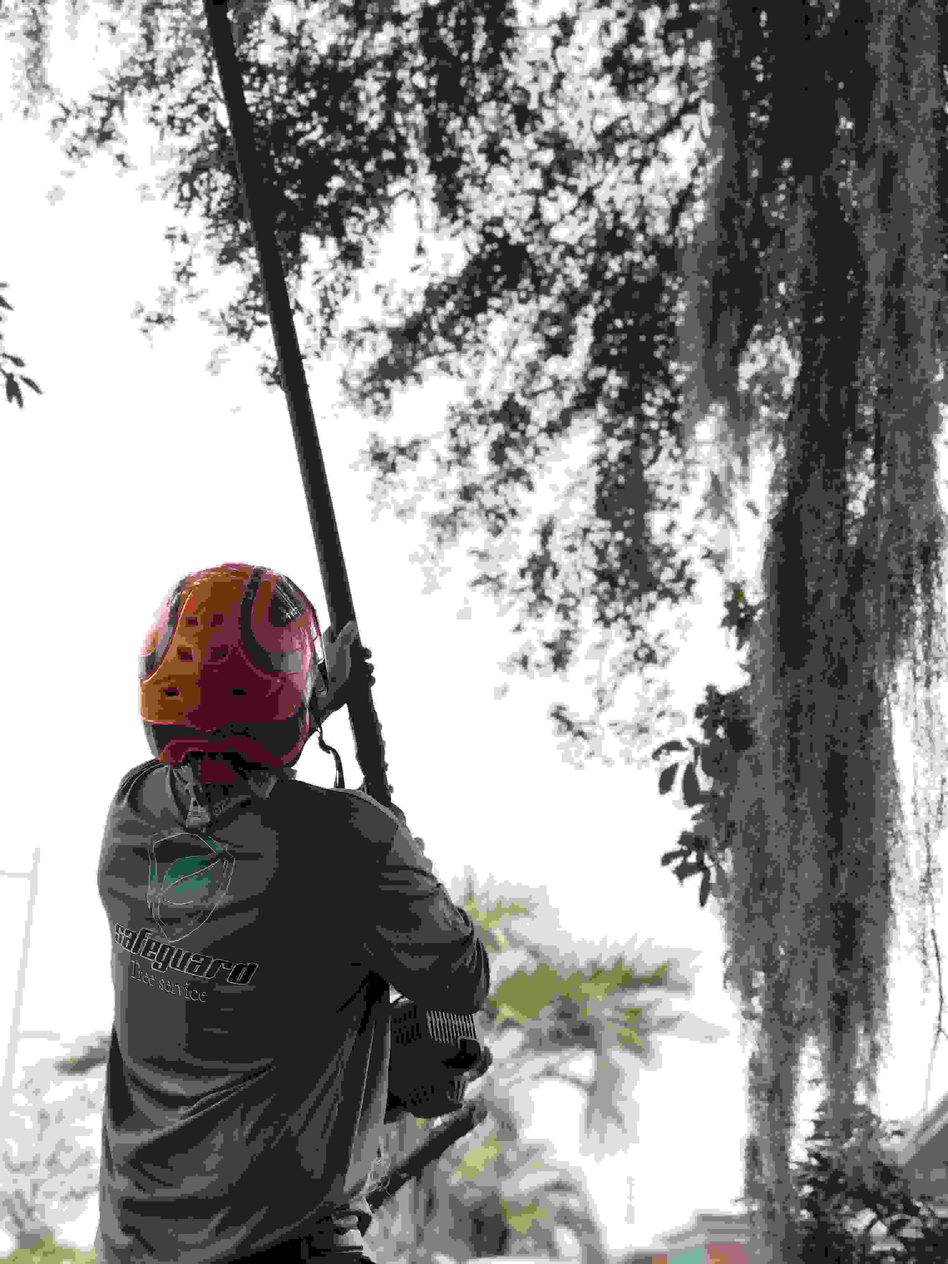 A Safeguard employee working with a pole saw.